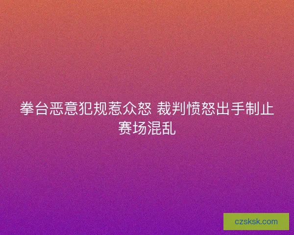 拳台恶意犯规惹众怒 裁判愤怒出手制止赛场混乱 拳台恶意犯规惹众怒 裁判愤怒出手制止赛场混乱